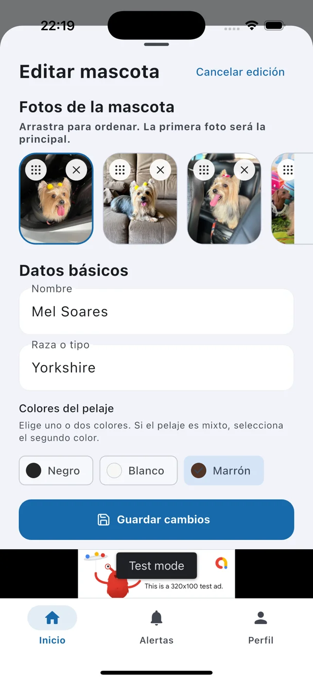 Bichano · 3